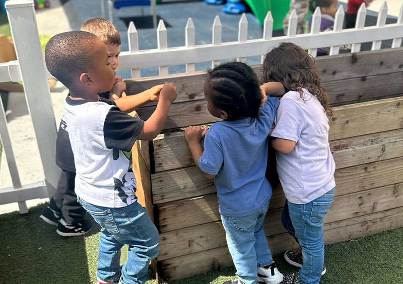 A Large Playground with Plenty to Do!