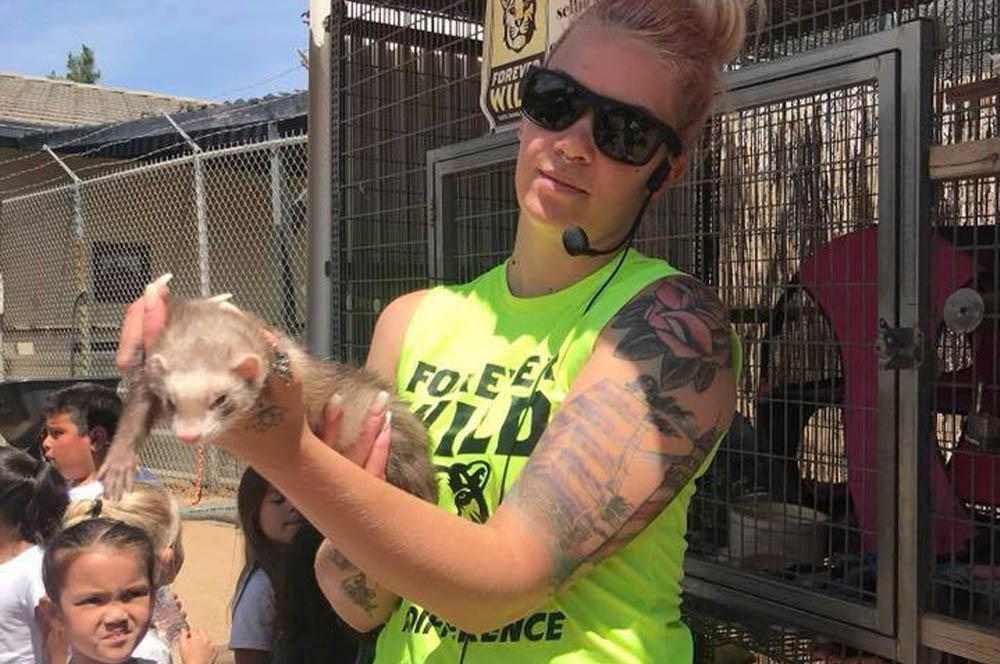 Visits from Local Professionals